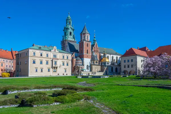 Wawel Katedrali Krakow, Poland.IMAGE 'da güneşli bir günde izlendi