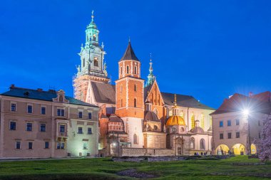 Wawel katedrali Krakow, Poland.IMAGE 'da gece boyunca izlendi