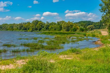 Plock, Poland.IMAGE yakınlarındaki Vistula Nehri bataklıkları