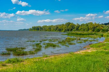 Plock, Poland.IMAGE yakınlarındaki Vistula Nehri bataklıkları