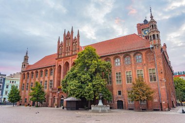 Torun 'daki Eski Belediye Sarayı Bölge Müzesi, Poland.IMAGE