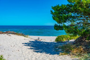 Poland.IMAGE 'deki hel yarımadasında vahşi plaj.