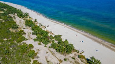 Poland.IMAGE 'deki hel yarımadasında vahşi plaj.