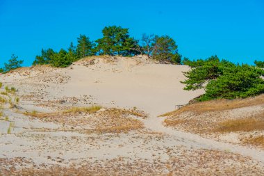 Poland.IMAGE 'deki Slowinski Ulusal Parkı' nda kum tepesi