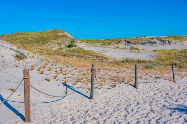Poland.IMAGE 'deki Slowinski Ulusal Parkı' nda kum tepesi