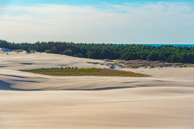 Poland.IMAGE 'deki Slowinski Ulusal Parkı' nda kum tepesi