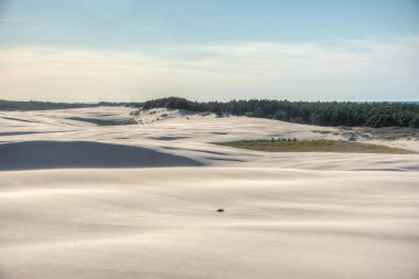 Poland.IMAGE 'deki Slowinski Ulusal Parkı' nda kum tepesi