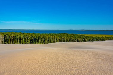 Poland.IMAGE 'deki Slowinski Ulusal Parkı' nda kum tepesi