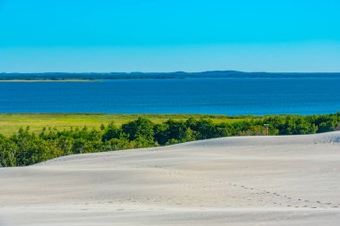 Poland.IMAGE 'deki Slowinski Ulusal Parkı' nda kum tepesi