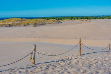 Poland.IMAGE 'deki Slowinski Ulusal Parkı' nda kum tepesi