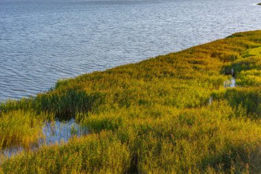 Poland.IMAGE 'deki Slowinski Ulusal Parkı' nda Leba Gölü