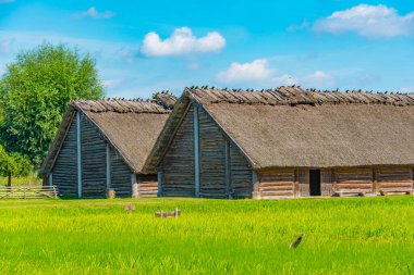Poland.IMAGE Biskupin 'deki Arkeoloji Müzesi