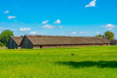 Poland.IMAGE Biskupin 'deki Arkeoloji Müzesi
