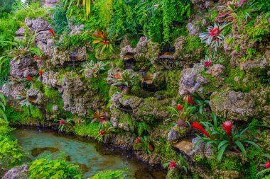 Poland.IMAGE 'deki Ksiaz Kalesi' nin Palm House 'u.