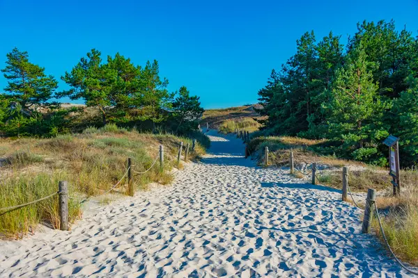 Poland.IMAGE 'deki Slowinski Ulusal Parkı' nda kum tepesi