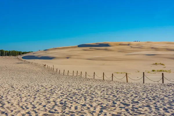 Poland.IMAGE 'deki Slowinski Ulusal Parkı' nda kum tepesi