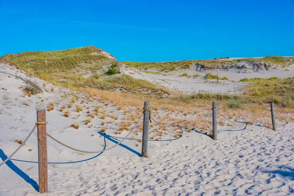 Poland.IMAGE 'deki Slowinski Ulusal Parkı' nda kum tepesi