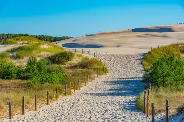 Poland.IMAGE 'deki Slowinski Ulusal Parkı' nda kum tepesi