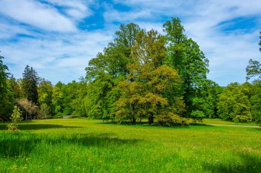 Çek Cumhuriyeti 'ndeki Hluboka nad Vltavou kalesine park et.