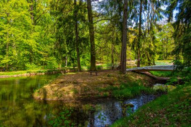 Çek Cumhuriyeti 'ndeki Hluboka nad Vltavou kalesine park et.