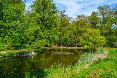 Çek Cumhuriyeti 'ndeki Hluboka nad Vltavou kalesine park et.