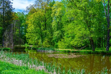 Çek Cumhuriyeti 'ndeki Hluboka nad Vltavou kalesine park et.