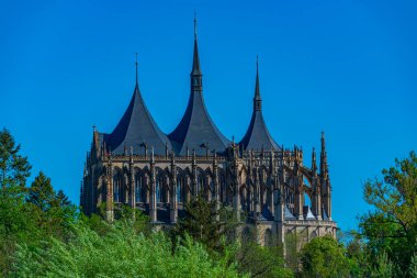 Kutna Hora, Çek Cumhuriyeti 'ndeki Aziz Barbara katedralinin panorama manzarası.