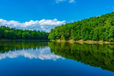 Çek Cumhuriyeti 'nin Benesov kenti yakınlarındaki Konopiste Gölü.