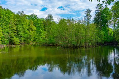 Çek Cumhuriyeti 'nin Benesov kenti yakınlarındaki Konopiste Gölü.
