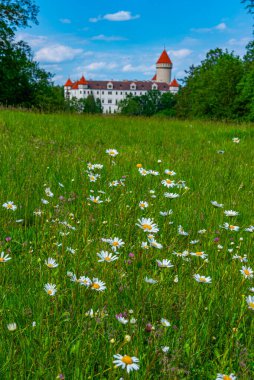 Çek Cumhuriyeti 'nin Benesov u Prahy yakınlarındaki Konopiste Sarayı.