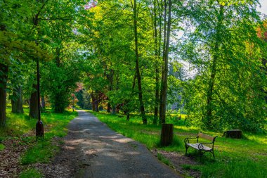 Çek Cumhuriyeti 'ndeki Konopsite saray parkı. Görüntü