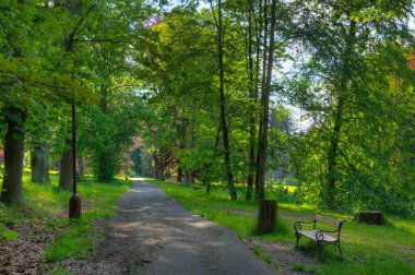 Çek Cumhuriyeti 'ndeki Konopsite saray parkı. Görüntü