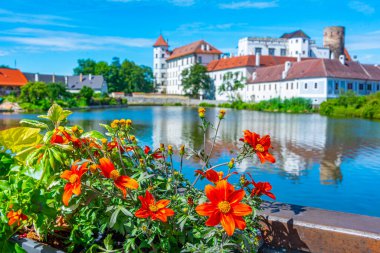 Çiçekler ve Çek kasabasındaki şato Jindrichuv Hradec.IMAGE