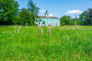 Dacice kalesi güneşli bir günde izlendi, Çek Cumhuriyeti. Görüntü