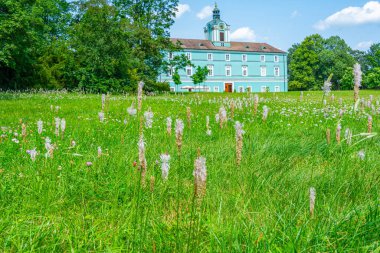 Dacice kalesi güneşli bir günde izlendi, Çek Cumhuriyeti. Görüntü