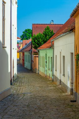 Çek Cumhuriyeti 'nin eski Telc kasabasındaki Dar Sokak.