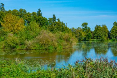 Poland.IMAGE 'deki Bialowieza kasabasında.