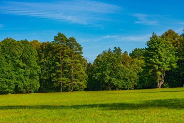Poland.IMAGE 'deki Bialowieza Ulusal Parkı' ndaki Meadow
