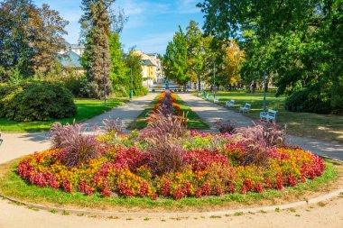 Frantiskovy Lazne, Çek Cumhuriyeti 'nde gezinti alanında renkli çiçekler.