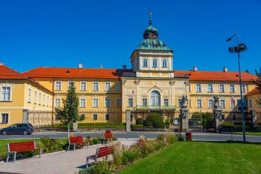 Çek Cumhuriyeti 'ndeki Horovice Kalesi' nde yaz günü.