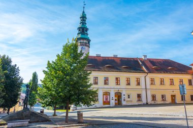Çek Cumhuriyeti, Domazlice Chodovsky Hrad Kalesi ve Chodsko Müzesi.