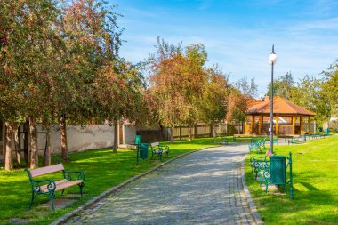 Çek Cumhuriyeti 'nin Domazlice kentinde bir parkta yaz günü.