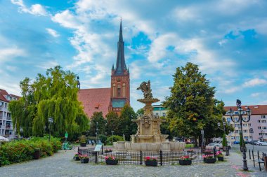 Havari Aziz James Bazilikası ve Szczecin, Poland.IMAGE 'deki Beyaz Kartal Çeşmesi.