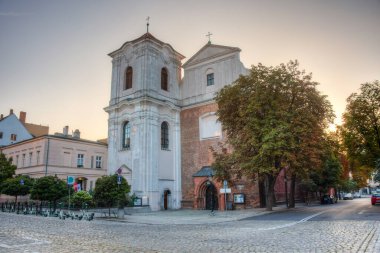İsa 'nın Kutsal Kalbi Kilisesi ve Poznan, Poland.IMAGE' deki Teselli Bakiremiz.