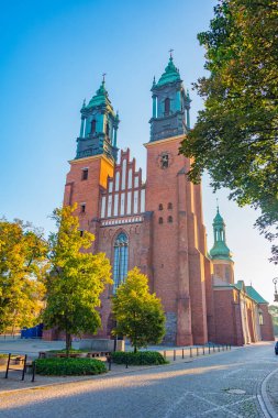 Poznan, Poland.IMAGE 'da Aziz Peter ve Paul Kilisesi' nin Archthedral Bazilikası.