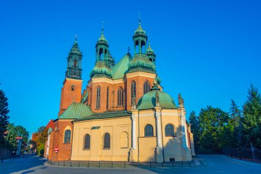 Poznan, Poland.IMAGE 'da Aziz Peter ve Paul Kilisesi' nin Archthedral Bazilikası.
