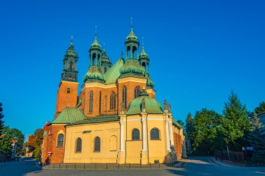 Poznan, Poland.IMAGE 'da Aziz Peter ve Paul Kilisesi' nin Archthedral Bazilikası.