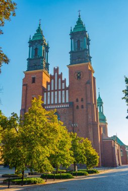 Poznan, Poland.IMAGE 'da Aziz Peter ve Paul Kilisesi' nin Archthedral Bazilikası.