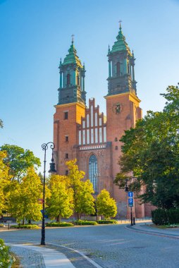 Poznan, Poland.IMAGE 'da Aziz Peter ve Paul Kilisesi' nin Archthedral Bazilikası.