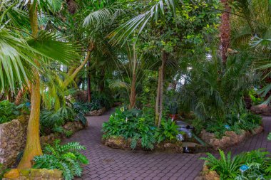 Poland.IMAGE 'deki Ksiaz Kalesi' nin Palm House 'u.